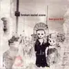 CD - broken social scene - feel good lost