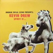 Broken Social Scene - Spirit If...