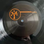 LP - Brokeback - Field Recordings From The Cook County Water Table