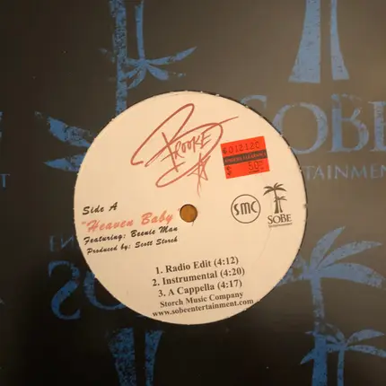 Brooke Hogan Featuring Beenie Man - Heaven Baby