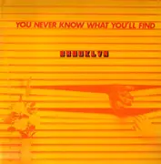 LP - Brooklyn - You Never Know What You`ll Find