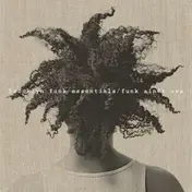 Brooklyn Funk Essentials - Funk Ain't Ova