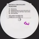 12inch Vinyl Single - Brooks & Dani Siciliano - Wandering