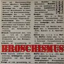 LP - Brosch - Broschismus - Lyric Insert