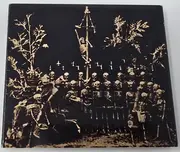 CD - Bravo Johnson - The Crooked and the Straight - Digipak