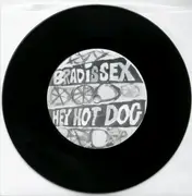 7inch Vinyl Single - Brad Is Sex - Hey Hot Dog / Bad Party