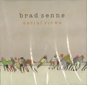 Brad Senne - Aerial View