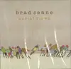 CD - Brad Senne - Aerial View
