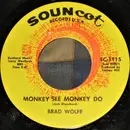 7inch Vinyl Single - Brad Wolfe - Monkey See Monkey Do / Mary Turn Around