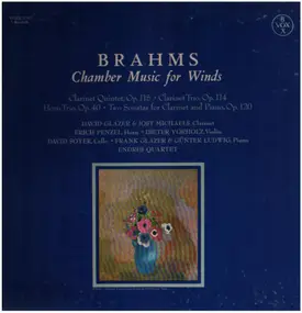 Johannes Brahms - Chamber Music For Winds
