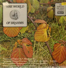 Johannes Brahms - The World Of Brahms
