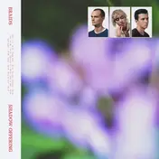 Braids - Shadow Offering