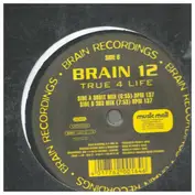 Brain 12