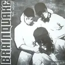 12inch Vinyl Single - Brainquake - The Worst