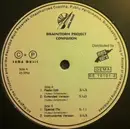 12inch Vinyl Single - Brainstorm Project - Confusion