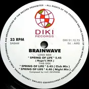 Brainwave - Spring Of Life