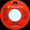 7inch Vinyl Single - Bram Tchaikovsky - Lady From The U.S.A. / Turn On The Light