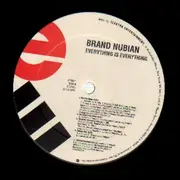 Double LP - Brand Nubian - Everything Is Everything