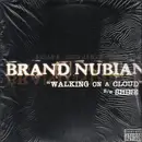 12'' - Brand Nubian - Walking On A Cloud / Shine