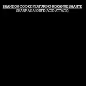 Brandon Cooke Featuring Roxanne Shante