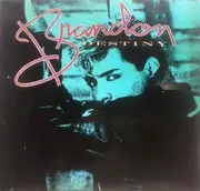 12inch Vinyl Single - Brandon - Destiny