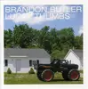 CD - Brandon Butler - Lucky Thumbs