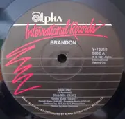 12inch Vinyl Single - Brandon - Destiny