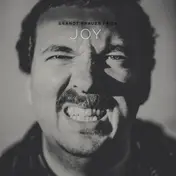 Brandt Brauer Frick - Joy