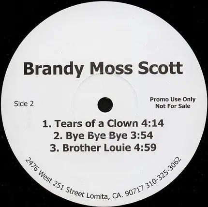 Brandy Moss-Scott - Not Your Money