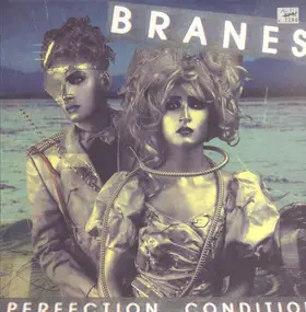 Branes - Perfection Condition
