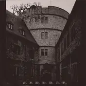 Branstock / Sadorass