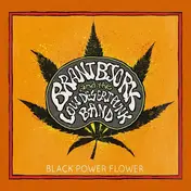 Brant Bjork - Black Power Flower