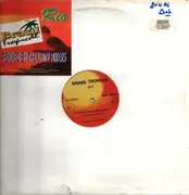 12inch Vinyl Single - Brasil Tropical - Rio (Remixed By The Unity Mixers) - sticker sleeve