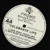 12inch Vinyl Single - Brasstooth + Sean Mitchell - Celebrate Life - Only Lp 2 Incl., Promo