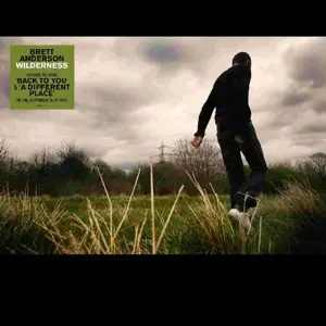 Brett Anderson - Wilderness
