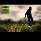 Brett Anderson - Wilderness