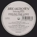 12inch Vinyl Single - Breakdown - Feeling The Love