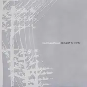 Breaking Pangaea - Take Apart The Words
