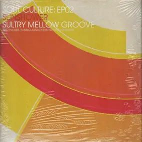 Breakwater - Soul Culture: Ep02 - Sunshower: Sultry Mellow Groove