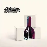 Brendan Benson - What I'm Looking For