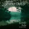 CD - Brendan Collins - Gentle Isla