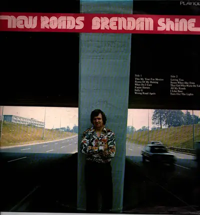 Brendan Shine - New Roads