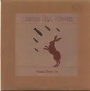 7inch Vinyl Single - British Sea Power - Please Stand Up