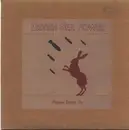 7inch Vinyl Single - British Sea Power - Please Stand Up
