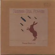 7inch Vinyl Single - British Sea Power - Please Stand Up