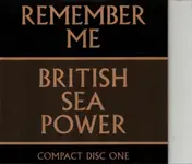 British Sea Power - REMEMBER ME
