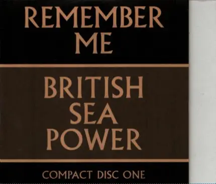 British Sea Power - REMEMBER ME