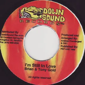 Brian & Tony Gold - I'm Still In Love