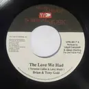 7inch Vinyl Single - Brian & Tony Gold - The Love We Had