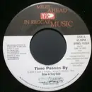 7inch Vinyl Single - Brian & Tony Gold - Time Passes By